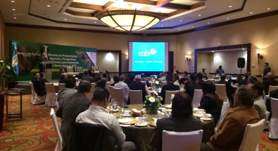 CABI y CAMAGRO Presentan Expectativas Económicas Agro 2017