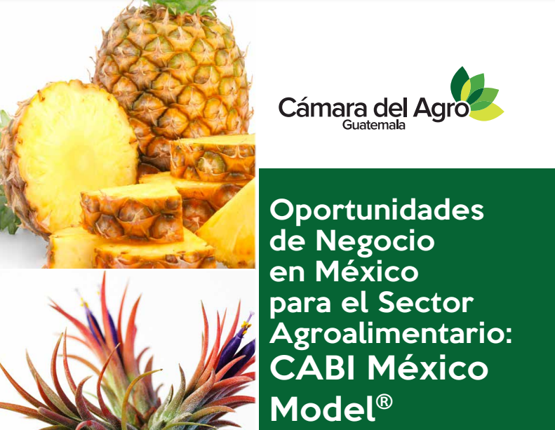 Oportunidades De Negocio En México Para El Sector Agroalimentario Cámara Del Agro Guatemala 3375